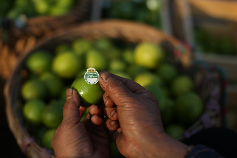 【CMO访谈】百威CMO车祁：一颗青柠的奇妙之旅