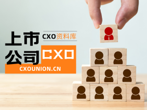 Read more about the article 上市公司CXO资料库-上海市天宸股份有限公司副董事长王学进