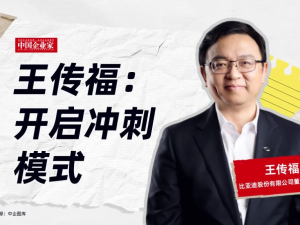 比亚迪创始人王传福和理想汽车李想