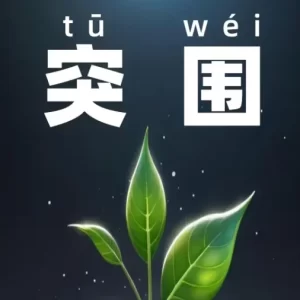 “突破重围，探寻新发展”——突围主题论坛，与CXO共探数字化转型新篇章