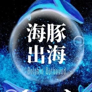 “不出海就出局” —— 2024海豚出海夏季论坛精彩收官，探索企业全球化新篇章