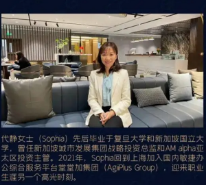 【CFO访谈】蓝海企业CFO Sophia：海外投资精英出身的CFO, 如何通过双重身份为企业创造价值-CXOUnion.cn