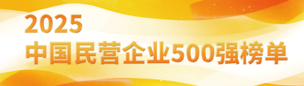 2025中国民营企业500强排行榜——CXOUNION