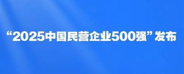 2025中国民营企业500强排行榜——CXOUNION